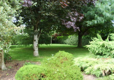 Avondoyle Garden